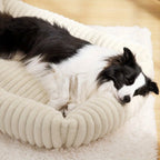 Orthopädisches, weiches Plüsch-Hundebett — Komfort & Halt für alle Jahreszeiten